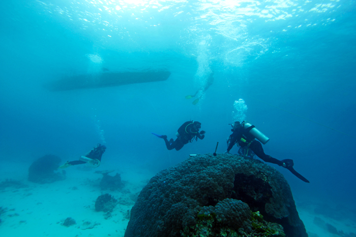 coral_detectives_blue