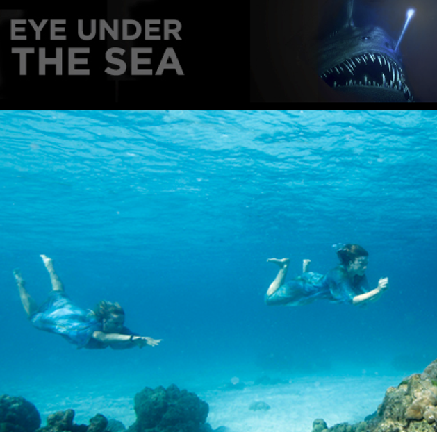 eye under the sea