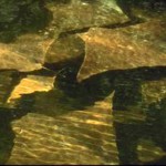 Rotation of Mariani 26